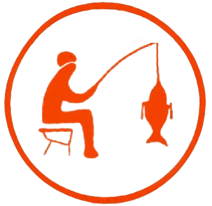 Praktické zkušenosti